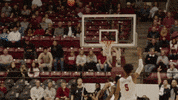 Alabama Basketball Roll Tide GIF by The University of Alabama