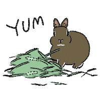Sticker Bunny Sticker