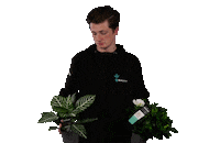 Richplant wijzen planten naaldwijk decorum Sticker