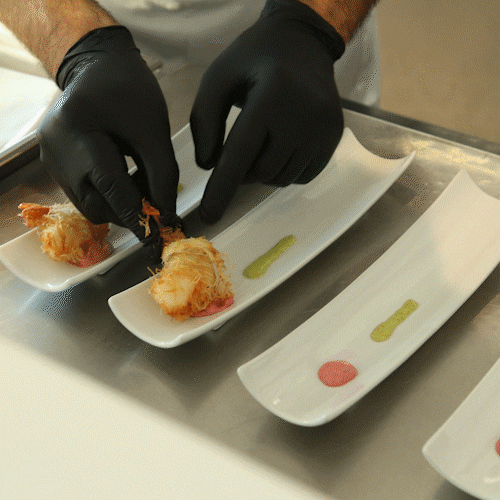 alchiardiluna giphyupload GIF