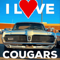 I Love Cougars GIF