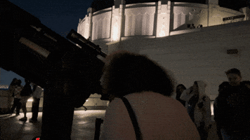 Looking Los Angeles GIF