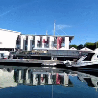 GIF by Brittlestar