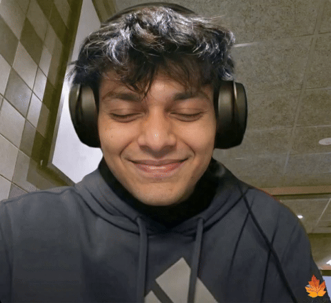 rizzzler giphyattribution trending giphycreatortest ishowspeed GIF