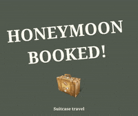 suitcasetravel honeymoon suitcase travel honeymoon planning honeymoon booked GIF