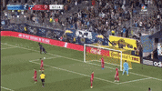 fc dallas goal celebration GIF by Philadelphia Union