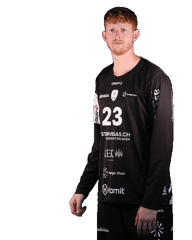 Handball Sticker by Wacker Thun