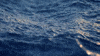 GIF by Niceland Seafood