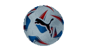 Copa America Football Sticker by PumaLatam