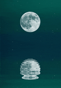 moon GIF