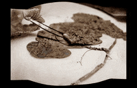 Write What GIF by Alex Boya