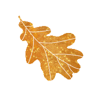 Sparkling_peanuts fall yellow orange autumn Sticker
