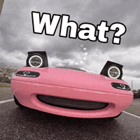 Kenzie What GIF