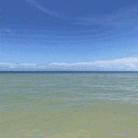 Summer Beach GIF by recorta y mueve