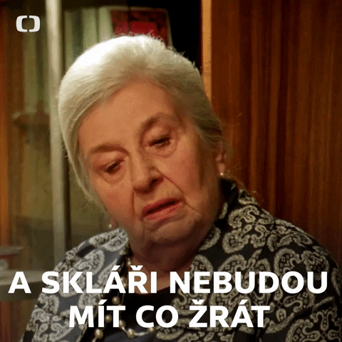 GIF by Česká televize