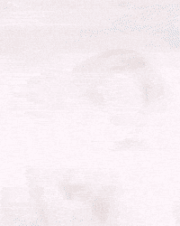 Inna Moll GIF