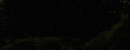 On My Mind Yo Moxie GIF by Moxie Raia