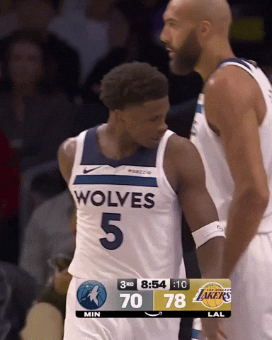 Nba Ant GIF by Minnesota Timberwolves