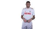 Fc Cologne Football Sticker by 1. FC Köln