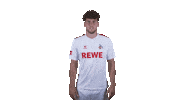 1 Fc Cologne Football Sticker by 1. FC Köln