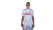 1 Fc Cologne Football Sticker by 1. FC Köln