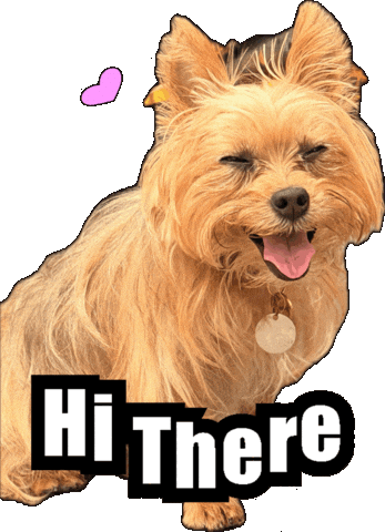 Dogs Pets Sticker by impactcollision