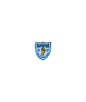 Handball Sticker by Club Handbol Sant Esteve de Palautordera