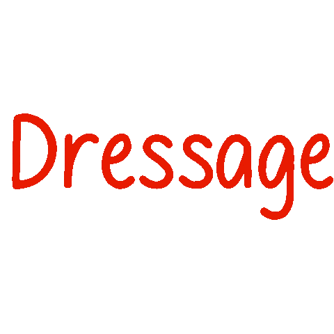 Horse Dressage Sticker