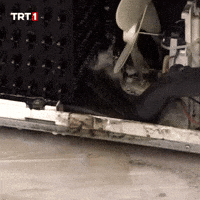 Work Water GIF by TRT