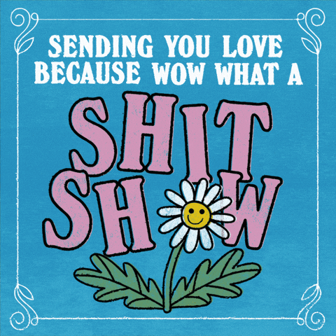 giphy.gif
