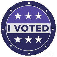 Vote Voting Sticker by Spectrum News NY1