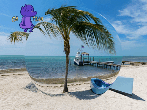 Germany Wow GIF by FranchiseCHECK.de