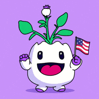 Voting Election Day GIF by Magic Eden