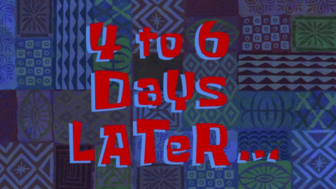 season 9 episode 24 GIF by SpongeBob SquarePants