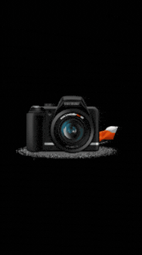 Fotografierbar fotograf hille photgraphy shootingtime GIF