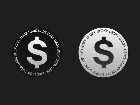 Crypto Web3 GIF by KAST