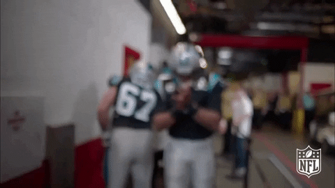 carolina panthers applause GIF by NFL