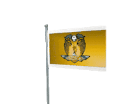 Flag Spl Sticker by HGFC