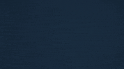 Bitcoin Crypto GIF by eToro