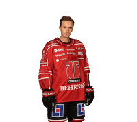 Good Goal Sticker by Örebro Hockey