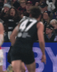Carlton Football Club Afl GIF