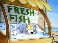 rockos modern life nicksplat GIF