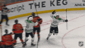 Happy Dallas Stars GIF by NHL