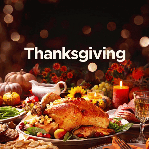 Christmas Thanksgiving GIF by Game Show Network
