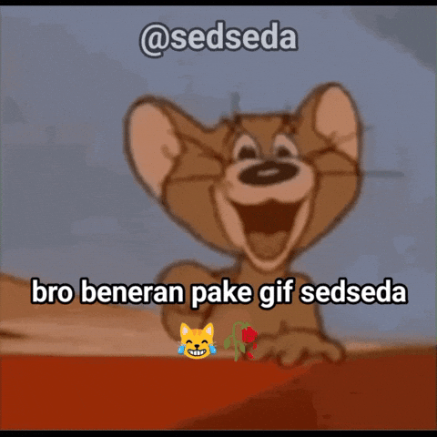 Sedseda GIF