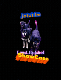 Dog Shop GIF