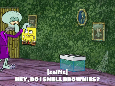 season 8 GIF by SpongeBob SquarePants