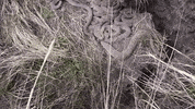 pile GIF by ViralHog