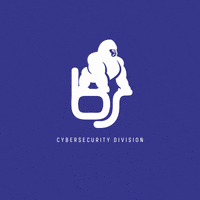 BluSystem web software wifi networking GIF