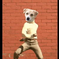 Sivany GIF by vivelemerde